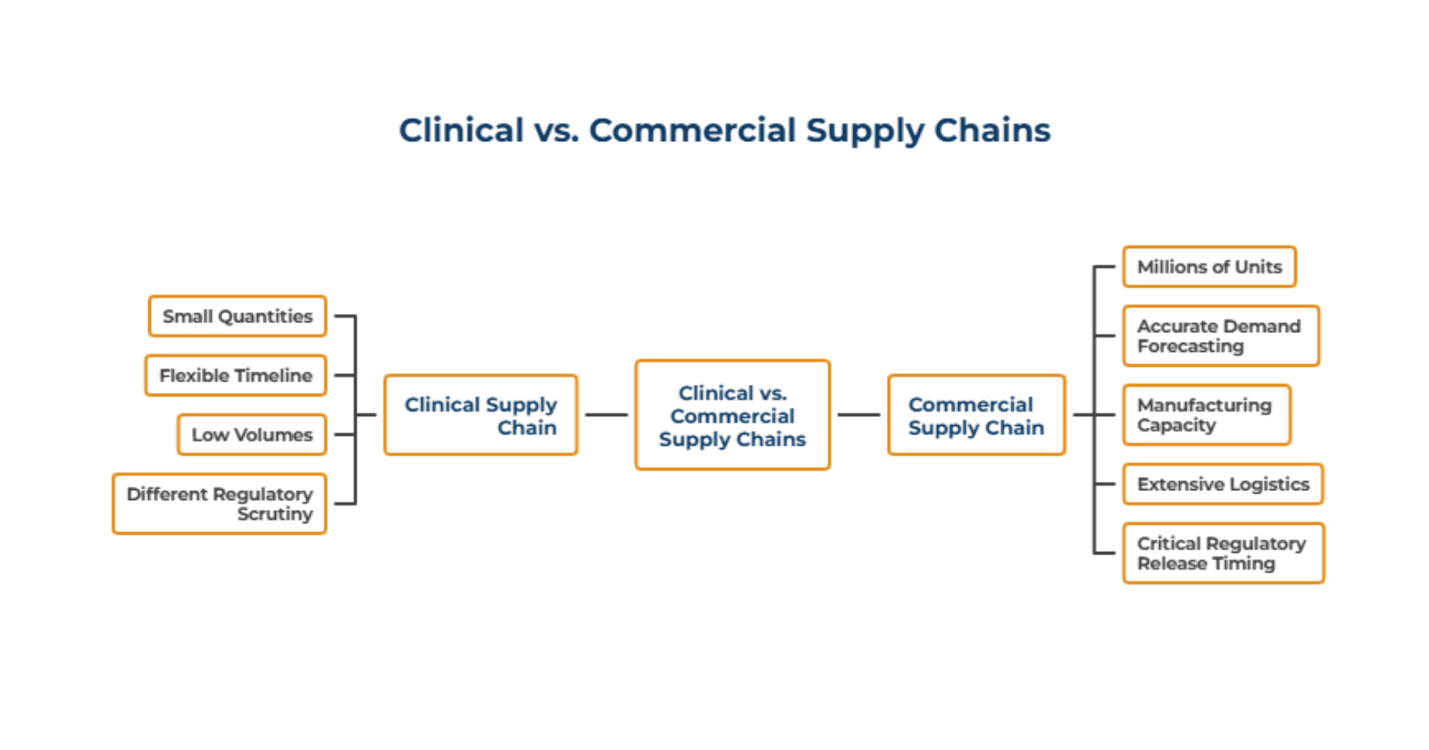 Clinical_vs_Commercial_Supply_Chains_Two_Different_Worlds_e8e404ab64.png