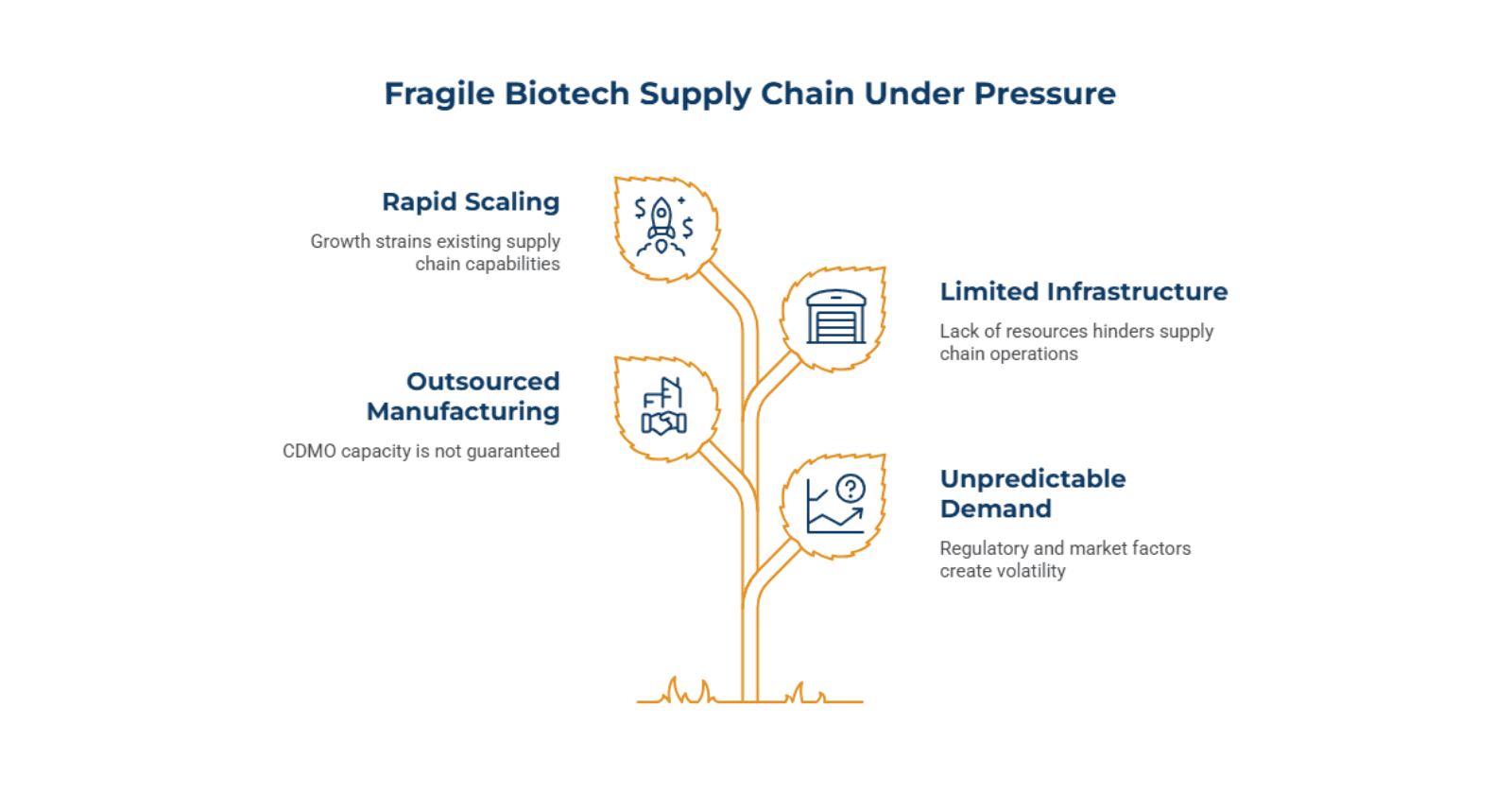 Biotech_Supply_Chain