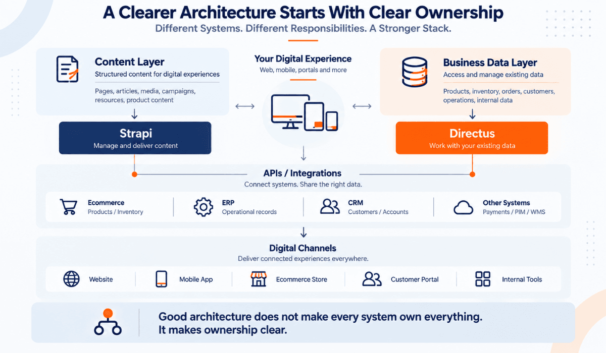 strapi-directus-system-ownership-architecture.png